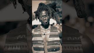 “Freeforms look nasty 🤢” response #shorts #freeformlocs #locs