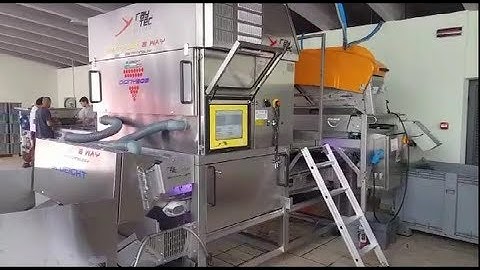 Dionysos optical sorting machine for grapes | RAYTEC VISION SpA