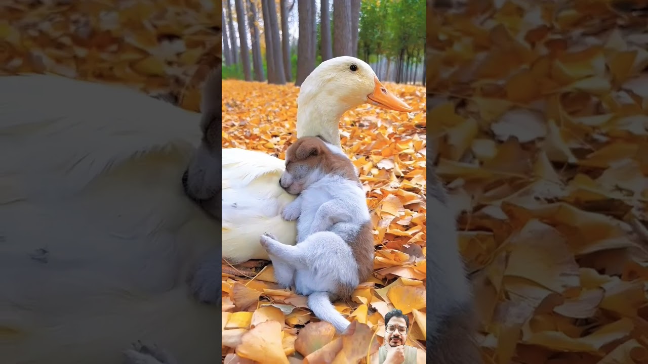 cute friendship❤️| 