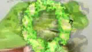 Frog Slideshow