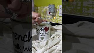 Wise Old Sage Kitchen Glow-Up With Frenchic Paint