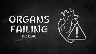 Multi-Organ Failure Case Study | ICU Nursing Priorities & Management