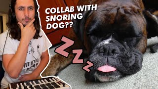 The Kiffness x Snore Dog (AWOLNATION - Sail Cover)