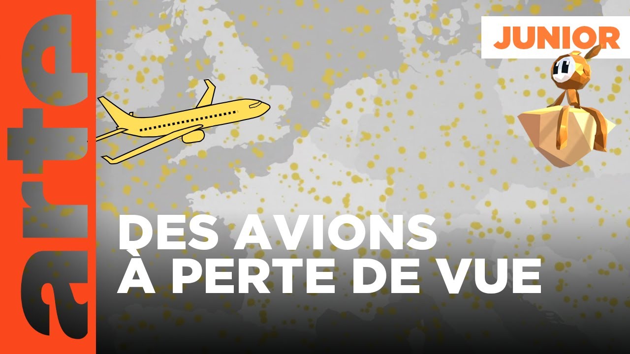Combien d'avions volent-ils en même temps à travers le monde ? | Vos questions 💡| ARTE Family