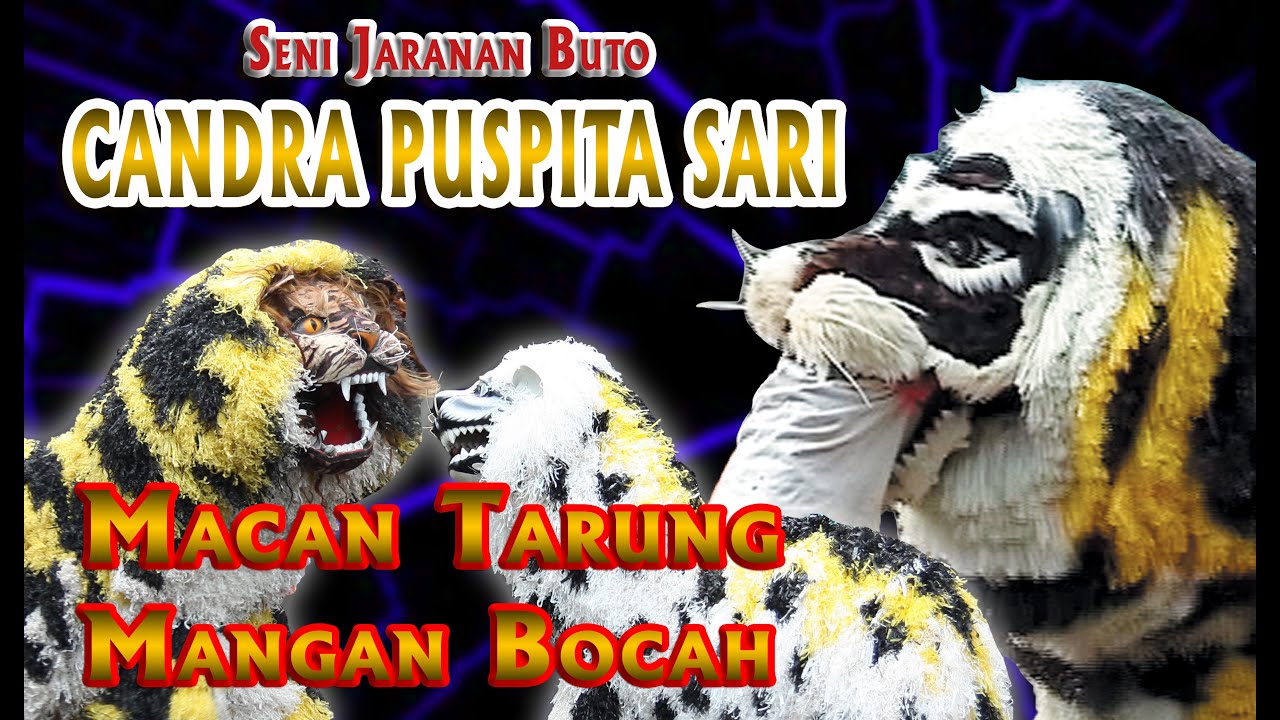 MACAN TARUNG MANGAN BOCAH & KUCINGAN TARUNG - Jaranan Buto  |  Candra Puspitasari
