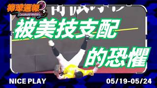 【2026棒球週報】NicePlay - 最後幾球太燃了!大巨蛋三連戰兩隊守備太精采!觀眾太嗨所以再次發動地鳴 ꉂ𐤔 #niceplay #中華職棒 #味全龍 #中信兄弟