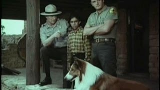 Lassie - Episode #522 - "The Cliff" - Season 16, Ep. 19 - 02/08/1970