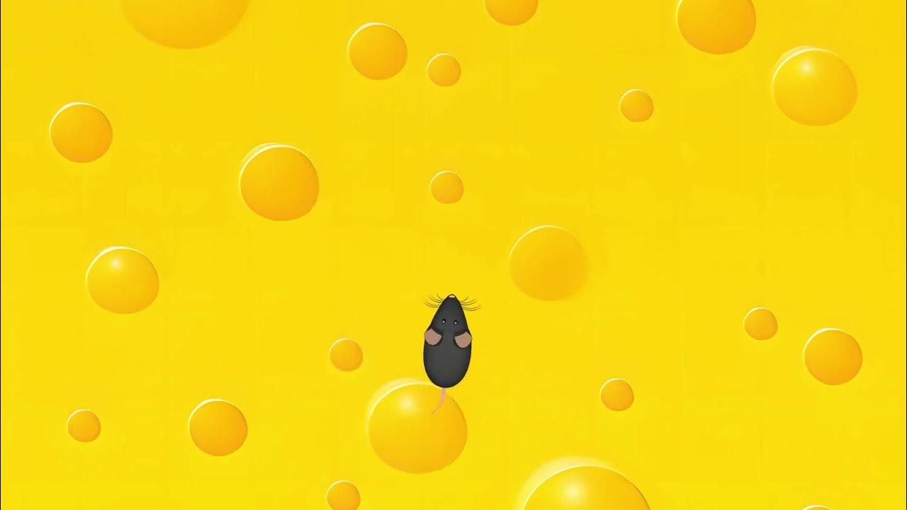 Cat Games Games For Cats Mouse For Cat On Screen YouTube cat-games-games-for-cats-mouse-for-cat-on-screen-youtube