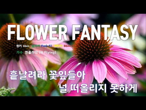 [은성 반주기] FLOWER FANTASY - 엔플라잉(N.Flying)