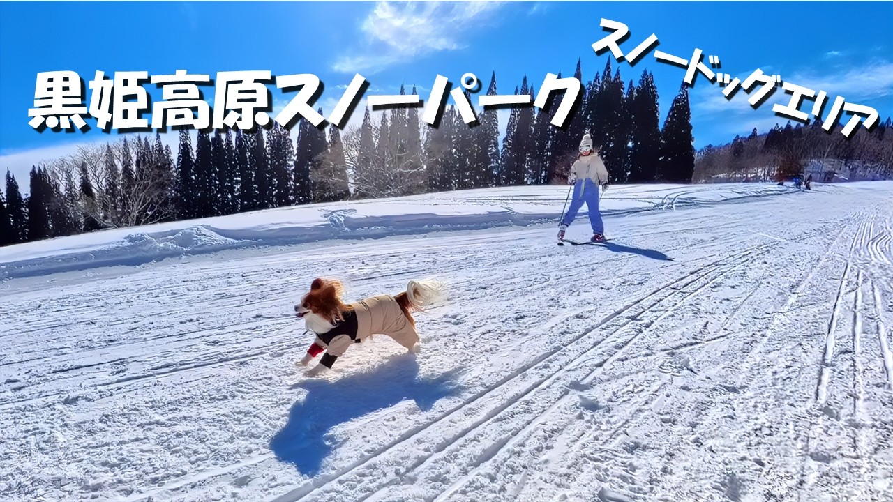 黒姫高原スノーパーク　スノードッグエリア