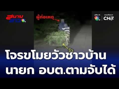 Thief Steals Cow in Prachuap Khiri Khan Village