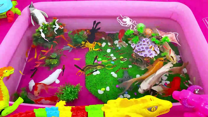 Let's explore what fish and sea creatures there are:sharks,jellyfish#goldfish#animals#viral videos