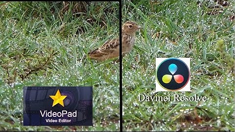 Comparing video stabilization between Videopad Video editor and DaVinci Resolve.