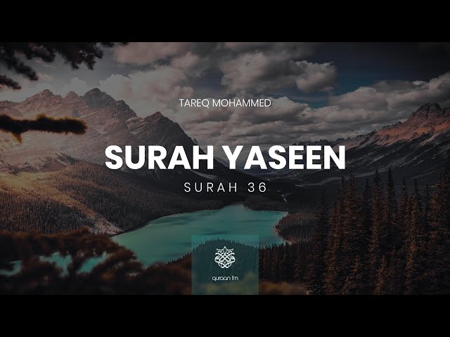 Surah Yaseen | Qari Tareq Mohammed | سورة يس | القارئ طارق محمد class=