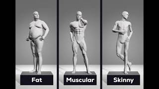 Body morphs for realistic male and female models in Magic Poser!