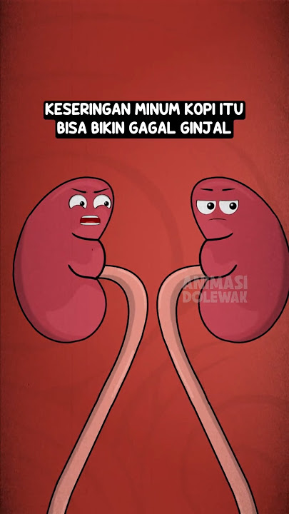 Minum Kopi Menyebabkan Gagal Ginjal??? #animasiorgantubuh #animasidolewak