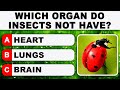 50 smart general knowledge questions that will test your brain power  daily trivia quiz round 43