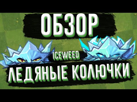 Видео: Обзор Ледяных колючек (Iceweed), растение из Plants vs Zombies 2