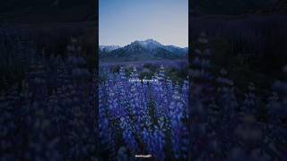 Tujhpe Khud Se Jyada || Ve Kamleya || Sad Song #shorts #lofi #sad #status