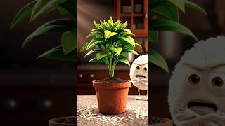 ये 3 Amazing Kitchen Hacks जो आपको हैरान कर देंगे! 🤯🔥 #kitchenhacks