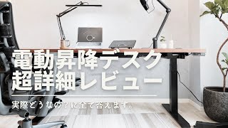 【１ヶ月レビュー】電動昇降デスク、実際どう？（IKEA天板カールビー × FLEXISPOT E7）