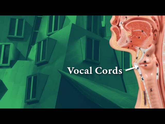 Asymmetrical Vocal Cord Movement class=