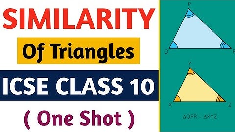 Similarity Of Triangles Class 10 ( One Shot ) | ICSE Class 10 Maths Similarity | Similarity | ICSE