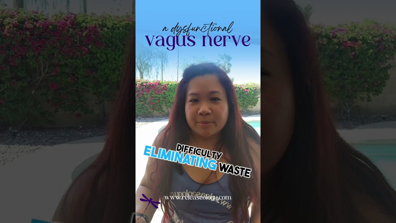 The Vagus Nerve - Why It's So Important AND a Vagus Nerve Workshop 