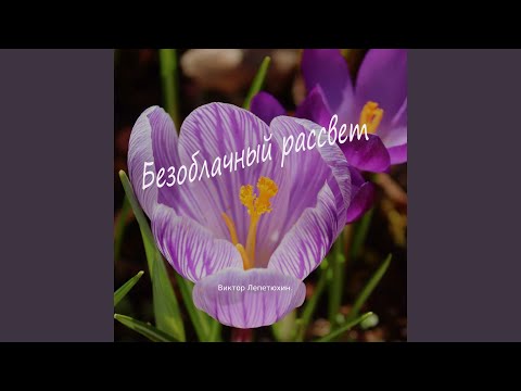 виктор лепетюхин - Вечерний аккардион