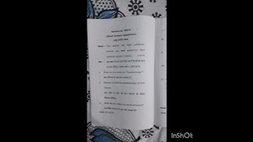 B.Ed 2ndyear Annual Exam Paper2021 Sub-(Knowledge, Language & Curriculum) Code- E-303 ccsu. merrut