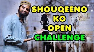 35K To 250K Self Feed Amazing Goats Of Rizwan Goat Farm Cattle Market Karachi Bakra Eid 2023