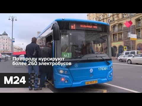 "Это наш город": более тысячи новых автобусов вышли на улицы города с начала года - Москва 24