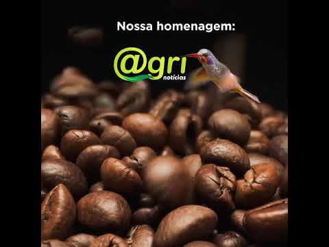 Vídeo: Comemore O Dia Internacional Do Café Com Uma Xícara De Café De Comércio Justo