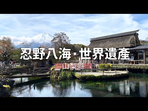 【一個人環遊日本】#02 忍野八海·世界文化遺產｜下一站去哪？｜富士山之旅｜日本旅遊 旅行 vlog