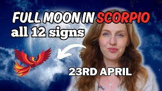 Full Moon in Scorpio 2024! Horoscopes | All 12 Zodiac Signs | Hannah’s Elsewhere