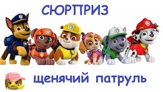 Как зовут героев из мультика ЩЕНЯЧИЙ ПАТРУЛЬ. Распаковка и обзор игрушек щенков. PAW Patrol Toys Как зовут героев из мультика ЩЕНЯЧИЙ ПАТРУЛЬ. Распаковка и обзор игрушек щенков. PAW Patrol Toys
