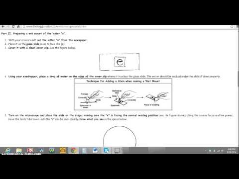 Microscope Letter "e" Lab