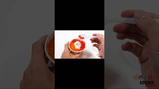 Steps of the Scientific Method Part 1: Overview and Asking a Question