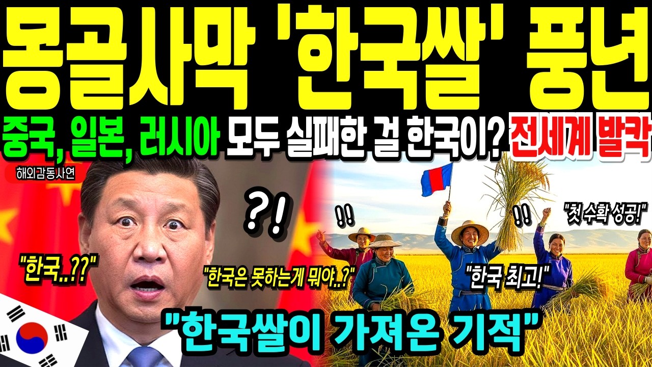 [해외감동사연] 한국이 몽골에 가져다 준 기적! 40년간 실패한 몽골 쌀농사, 전세계가 포기했지만 한국만 유일하게 성공한 충격적 이유! K-농업기술의 위대함에 전세계 경악