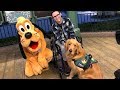 Service Dog Gets Super Excited Meeting Pluto at Disney Service Dog Gets Super Excited Meeting Pluto at Disney