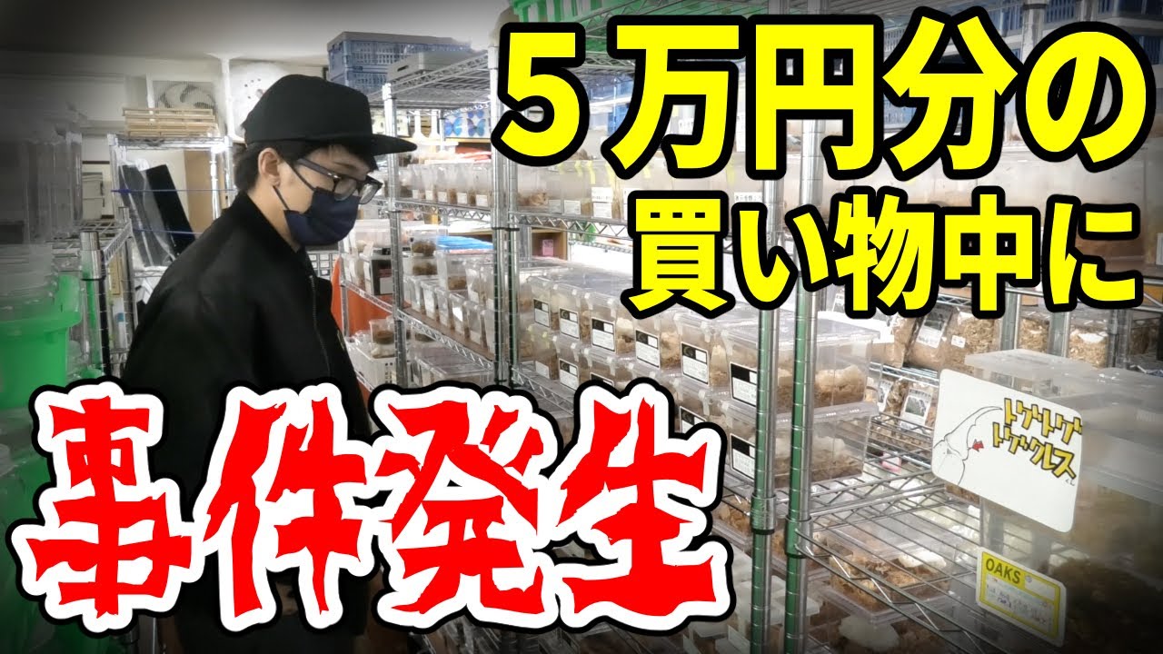 虫友に誕プレを買ってあげるつもりが企画どころじゃなくなりました