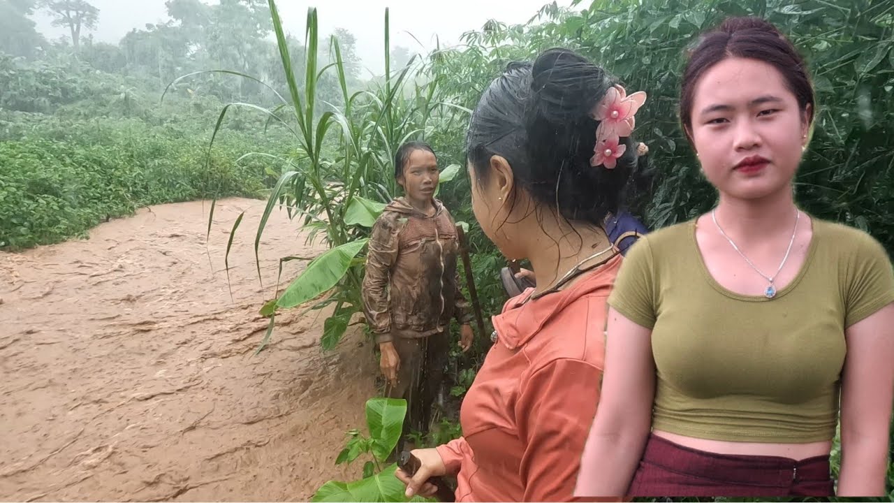 วันนี้ ต้องนอนกลางป่าไหม หาหน่อไม้ แต่ฝนตกหนัก ข้ามห้วยไม่ได้กับสาวภูไท#มันคนเดินทาง 