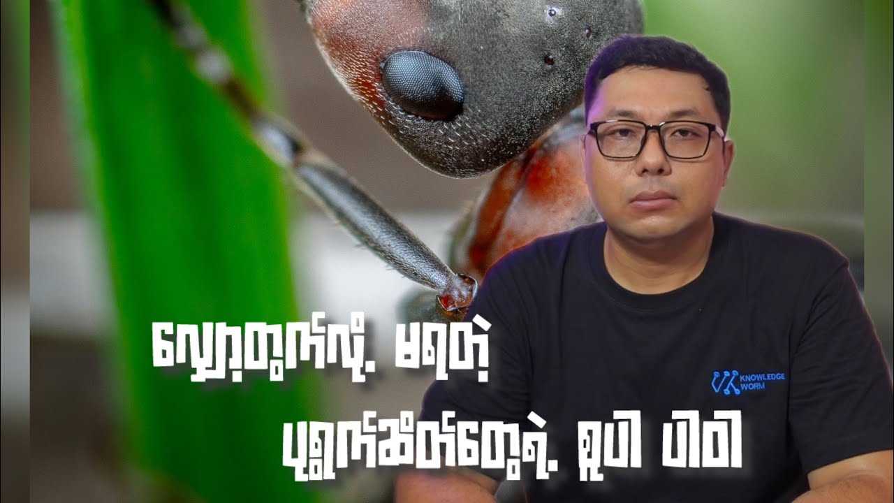 ပုရွက်ဆိတ်တွေရဲ့ စူပါပါဝါ တခု အကြောင်း