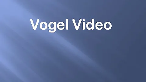 Vogel  Video