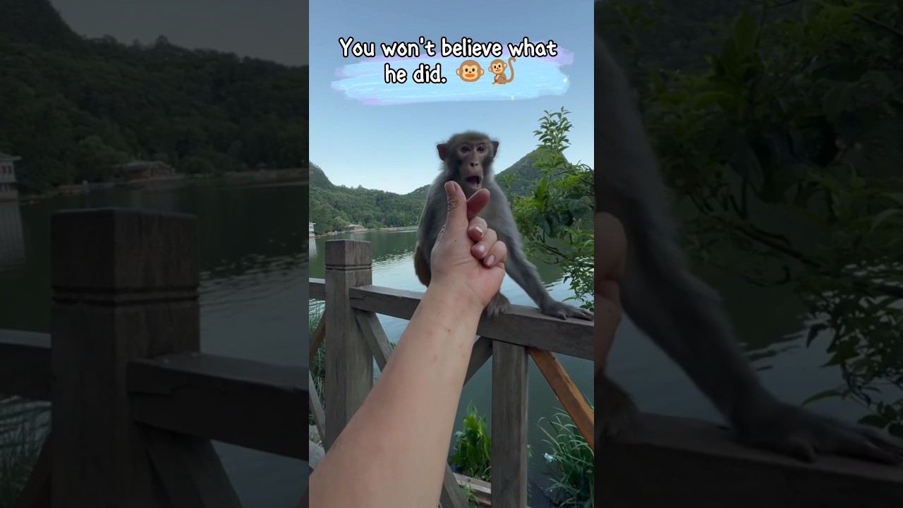 Man Pranks Monkey 🐵... Big Mistake! 😮