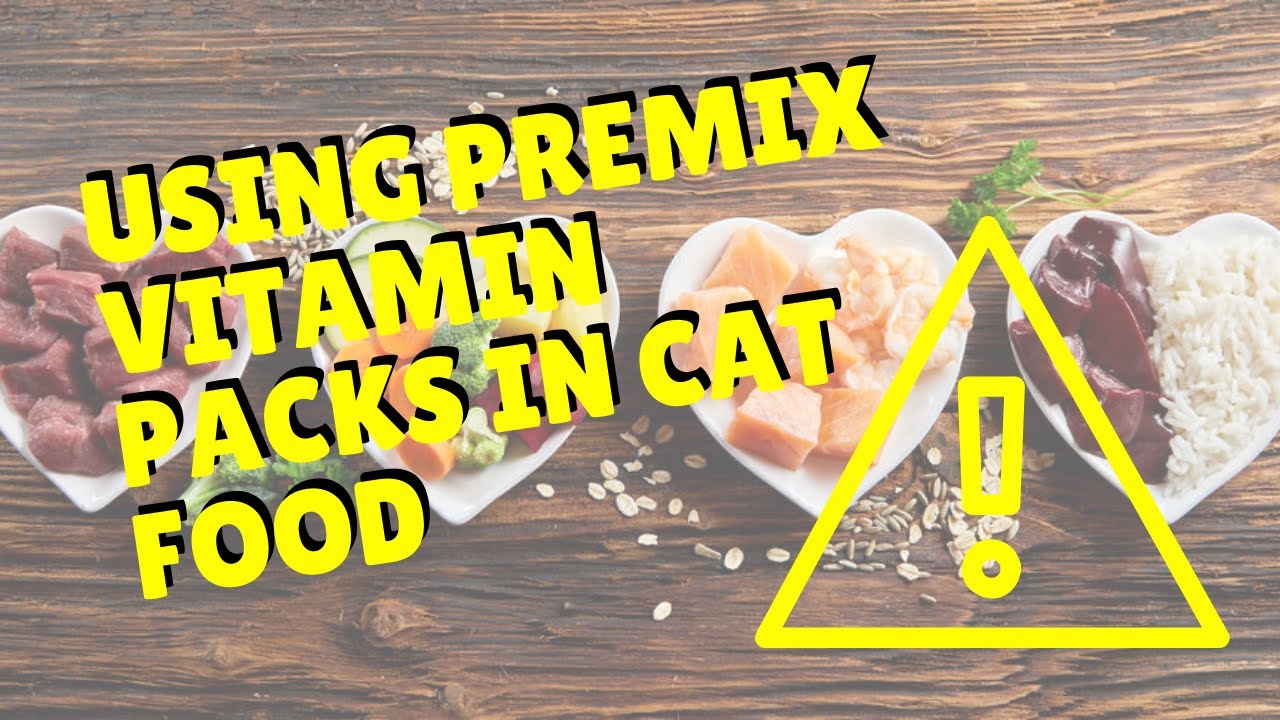 Using Premix Vitamin Packs in Cat Food Two Crazy Cat Ladies YouTube