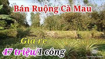 Bán Đất Ruộng Cà Mau Giá Rẻ Khó Tìm
