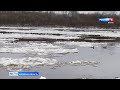 Бесстрашные утки устроили массовый заплыв среди льдин на реке Вятке (ГТРК Вятка)