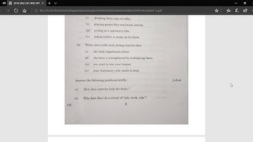 Class XII-(2018)-Official CBSE English-(301)-  Question Paper  SET 2