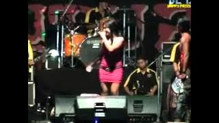 PANTURA °°  BARA CINTA
